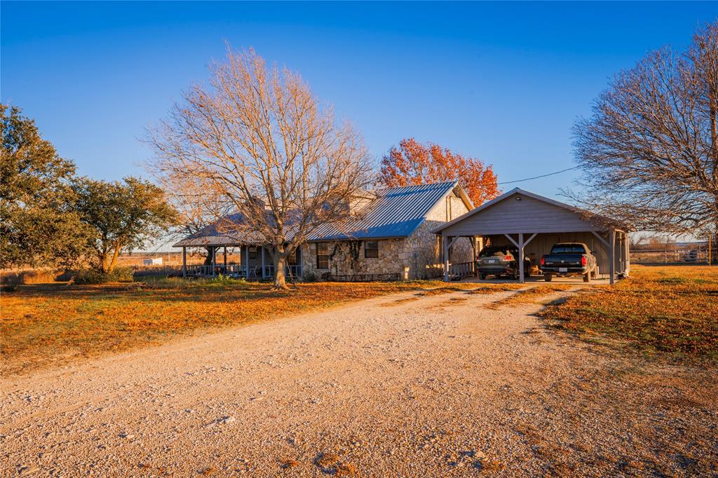 Beene - Farm