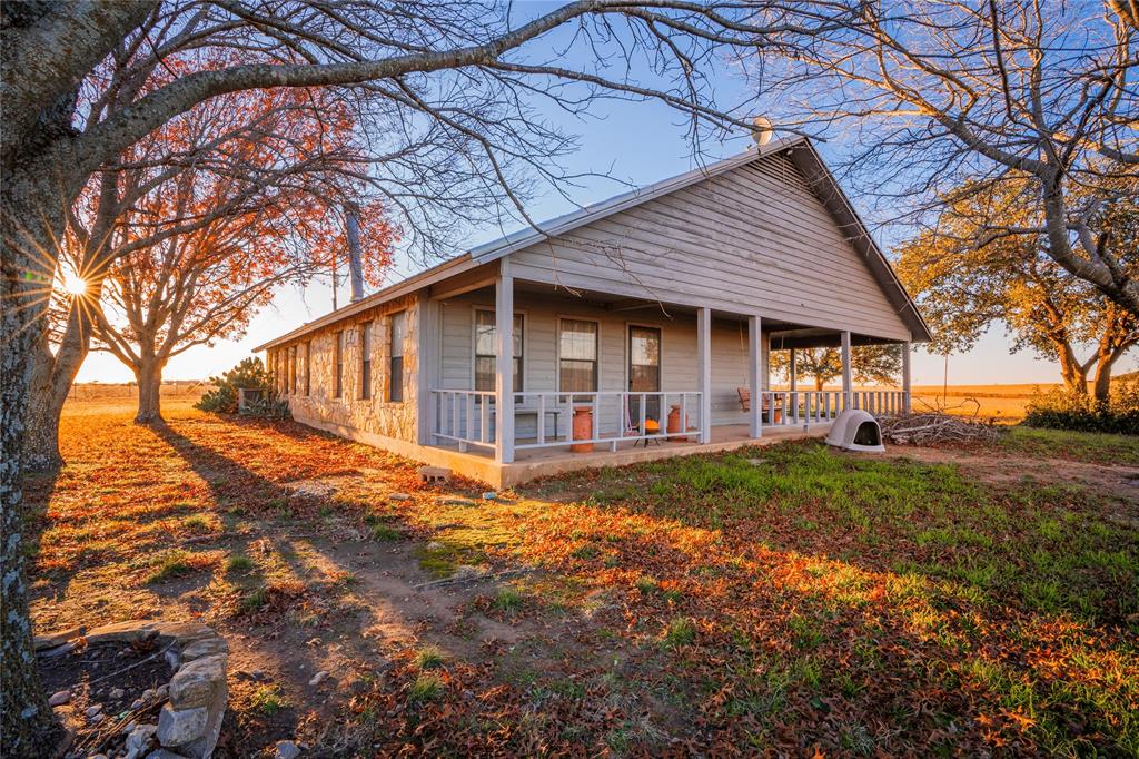 Beene - Farm