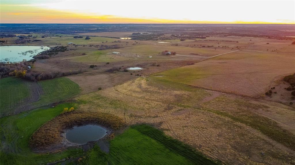 Beene - Farm