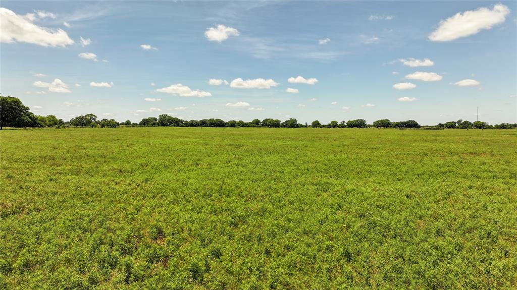 Baker Survey - Land