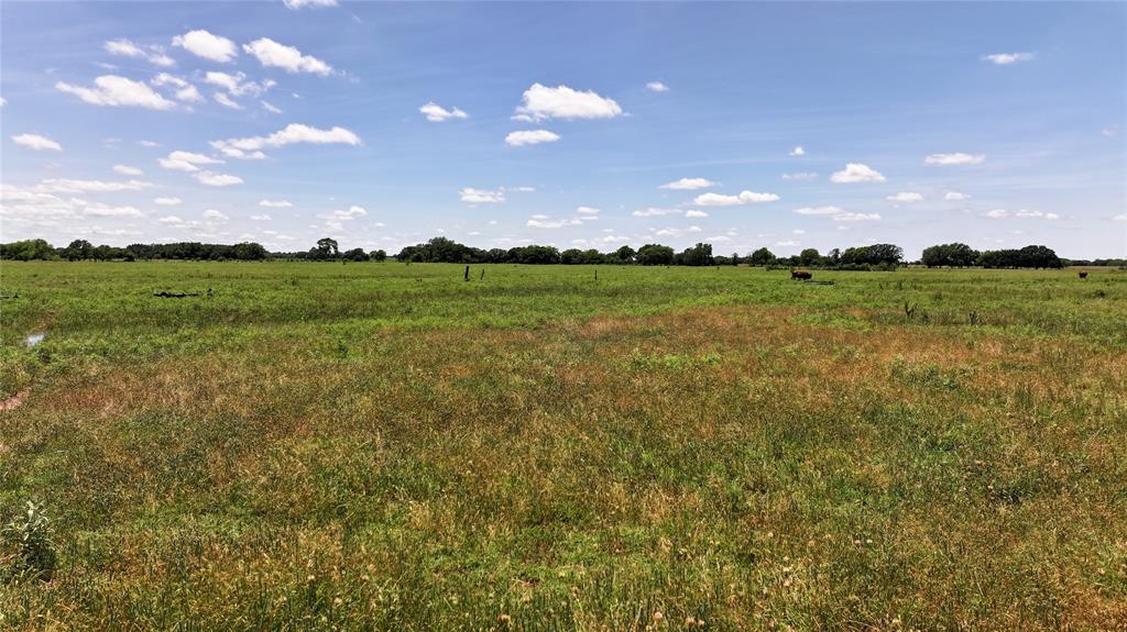 Baker Survey - Land