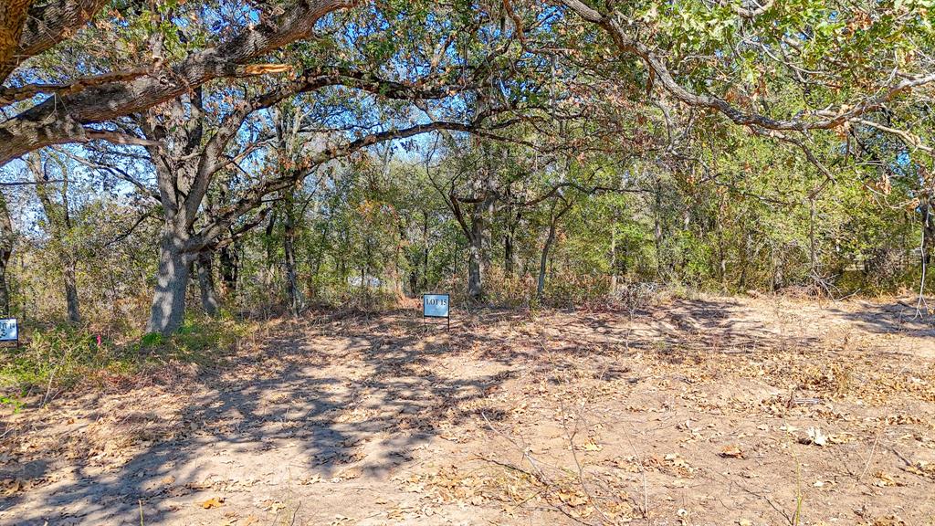 Carmel Valley Estates - Land