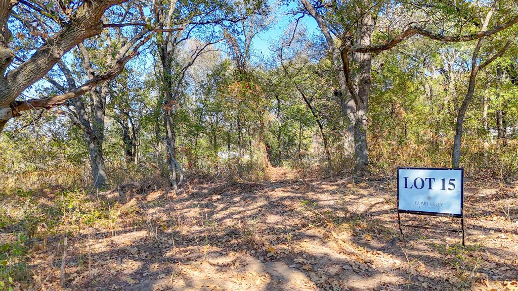 Carmel Valley Estates - Land