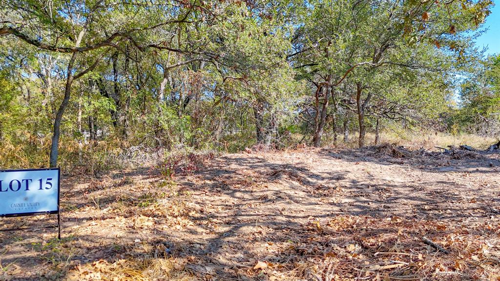 Carmel Valley Estates - Land