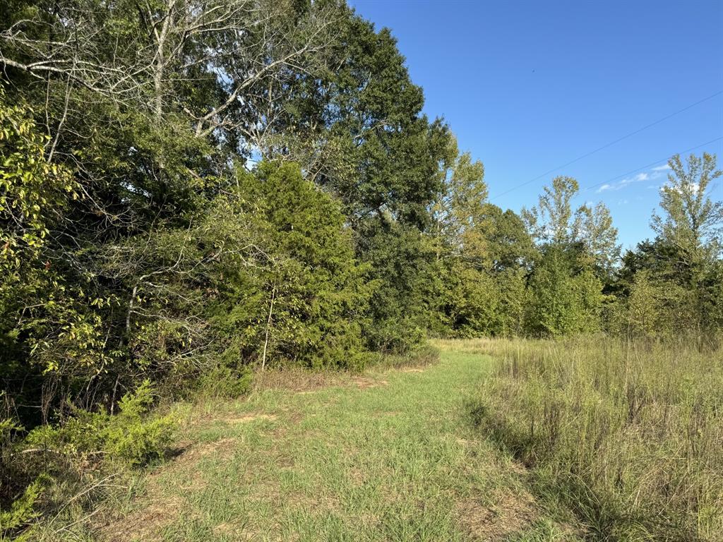 A0561 MOORE - Residential