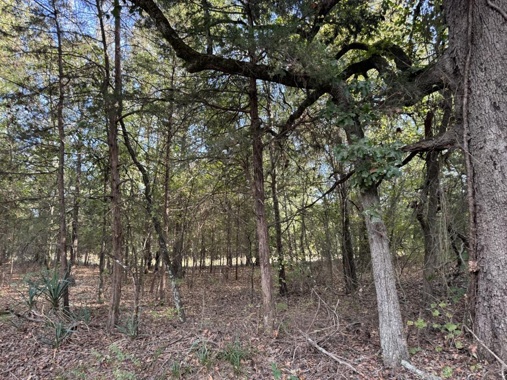 A0561 MOORE - Residential