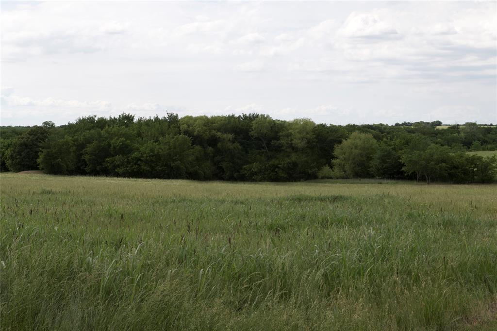 unemproved land - Land