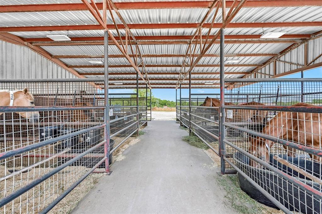 Mirabeau B Lamar Surv Abs #704 - Farm