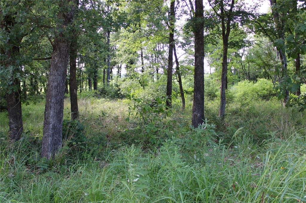 OAKMONT ESTATES - Land