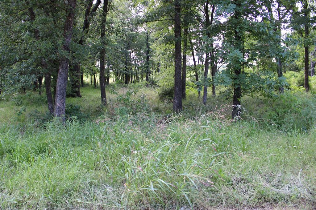 OAKMONT ESTATES - Land