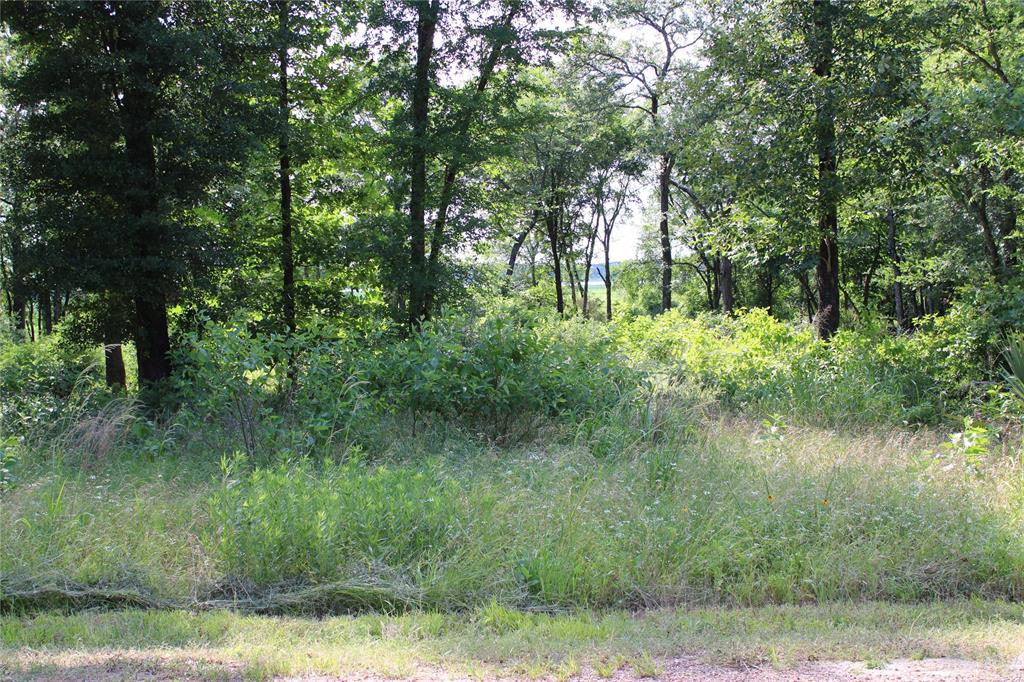 OAKMONT ESTATES - Land
