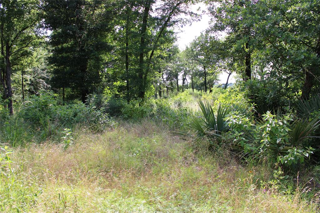 OAKMONT ESTATES - Land