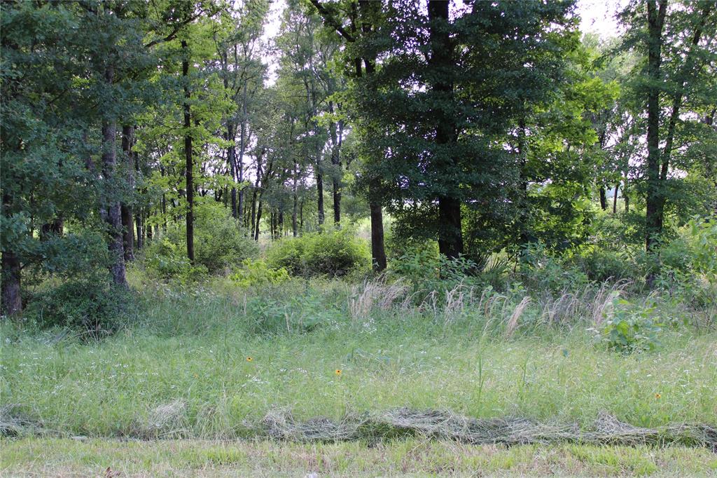 OAKMONT ESTATES - Land