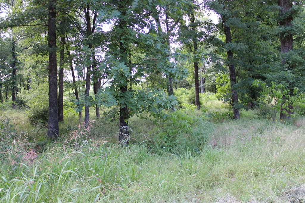 OAKMONT ESTATES - Land
