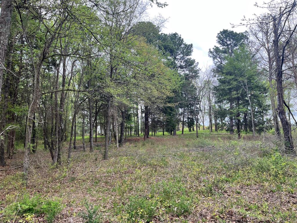 Waters Edge Ranch Ph 3 - Land
