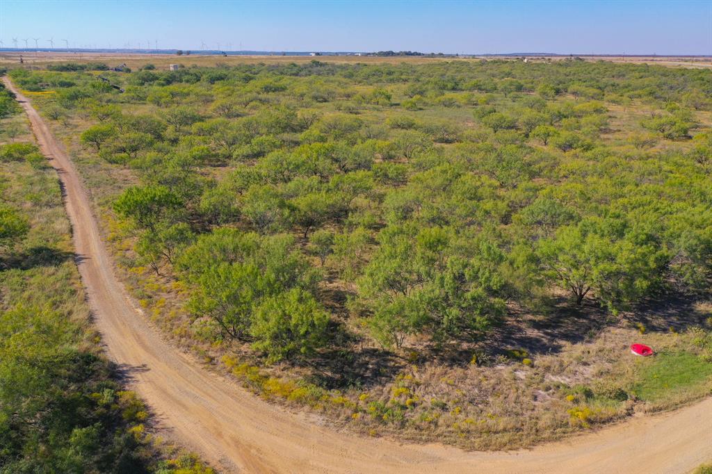 Pasture Holdings - Land