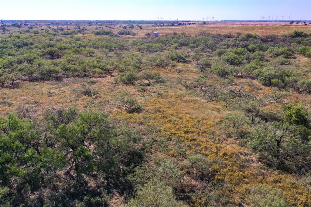 Pasture Holdings - Land