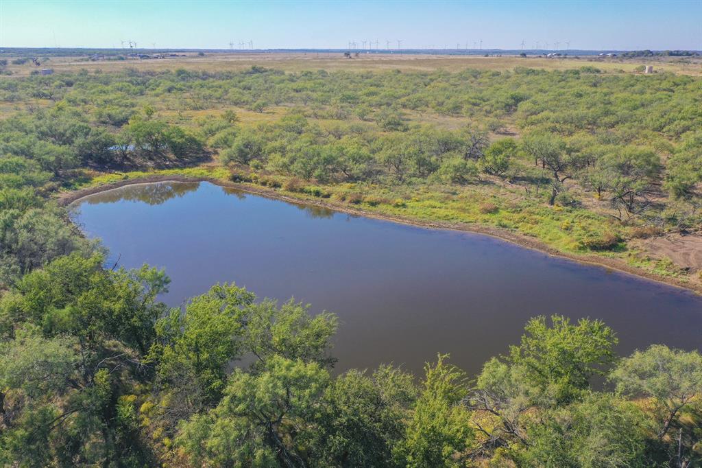 Pasture Holdings - Land