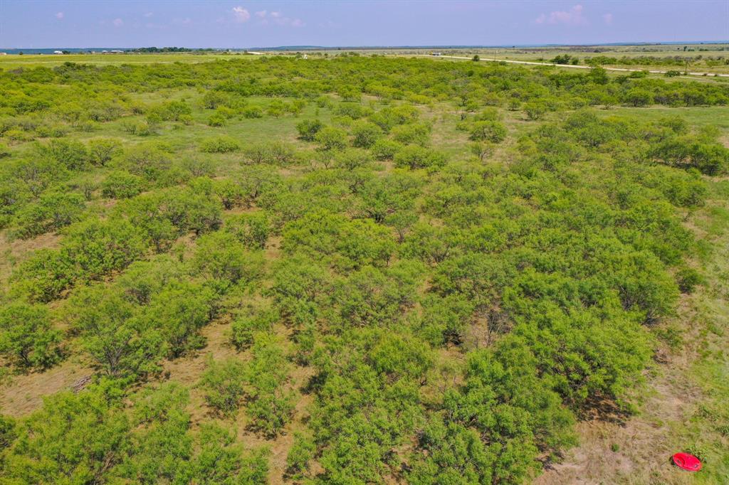 Pasture Holdings - Land