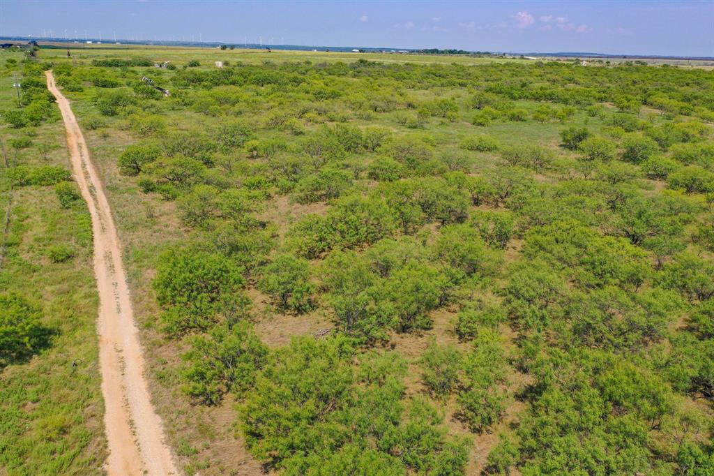 Pasture Holdings - Land