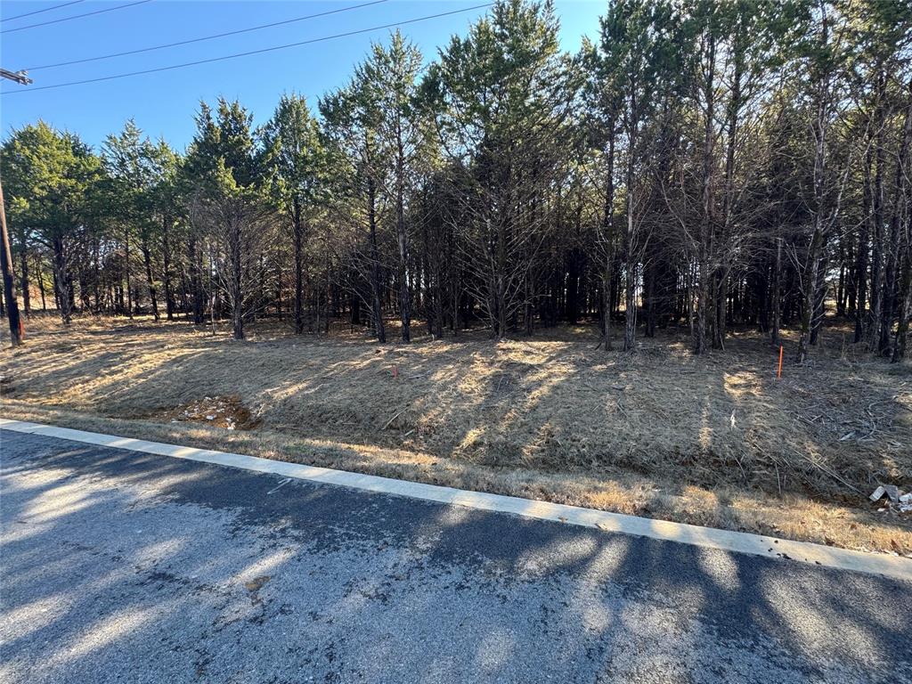 OWNER FINANCING AVAILABLE!!  Create your ideal full-time residence or weekend retreat in this highly sought-after Rock Creek subdivision, Palisades III, where you're just a short 5-minute walk to Lake Texoma.  Contact us for more details.