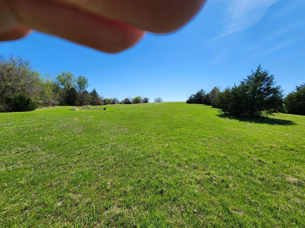 Elija B Reed Surv A-739 - Land