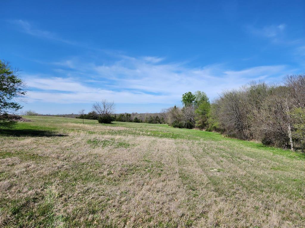 Elija B Reed Surv A-739 - Land