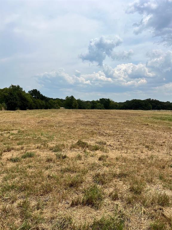 Peaceful country setting just minutes from Bonham Lake and downtown Bonham. Easy access to Highway 121 and Highway 82, making commuting convenient. Whether you're looking to build your dream home, start a small ranch, or invest in land with future potential. Surrounded by nature, offering privacy and tranquility. This is a rare opportunity to own land in one of the most desirable areas of Fannin County. With growth coming to the region.