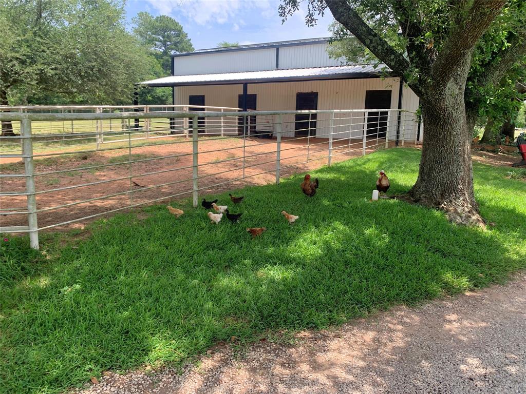 Rural - Farm
