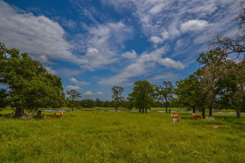none - Farm