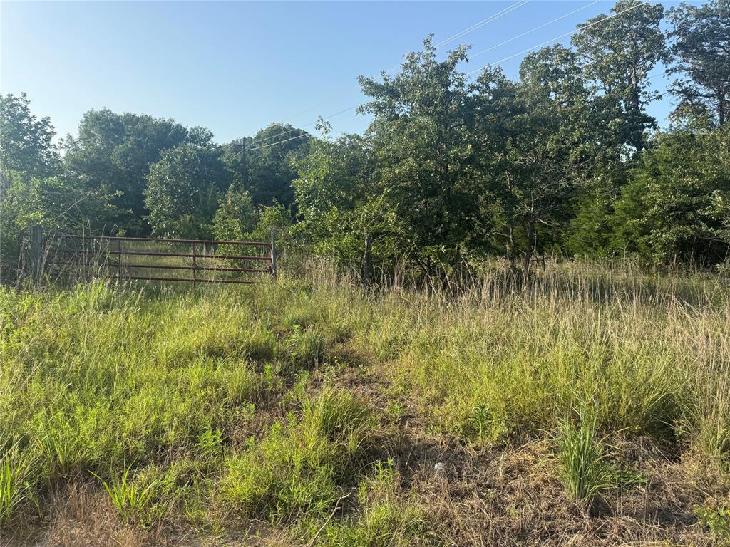 SW LAMAR - Residential