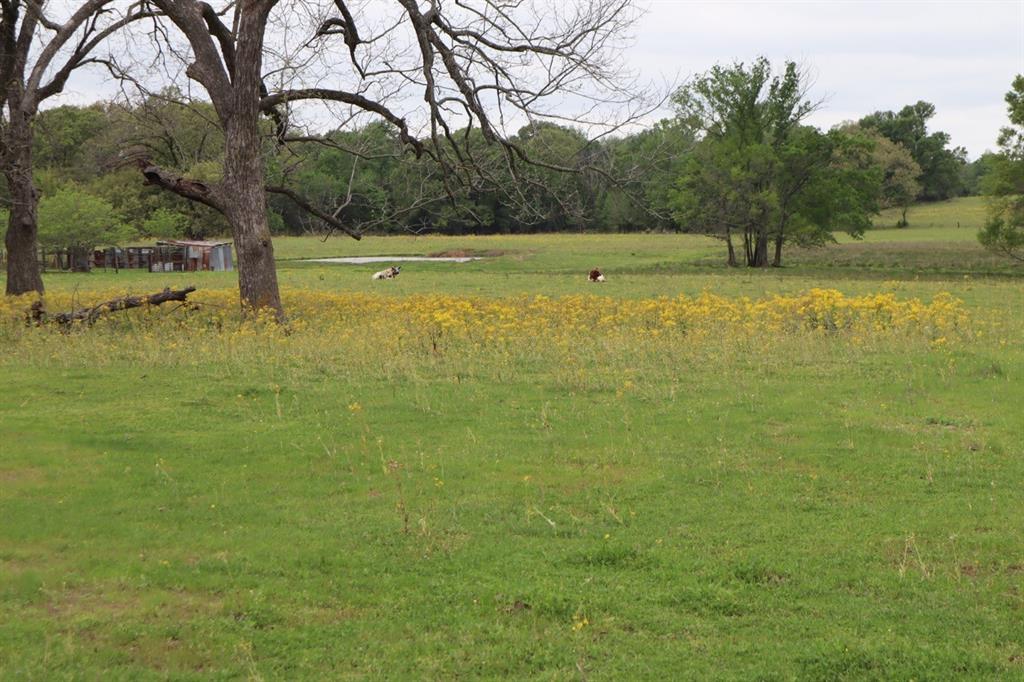 Nestled along a serene country lane, this vibrant 30-acre haven, carved from a larger estate, awaits your vision to craft the ultimate rural retreat! Bursting with potential, the land boasts lush pastures perfect for livestock and scattered woodlands offering endless spots to site your dream home. With NO RESTRICTIONS, unleash your imagination—whether it’s a sleek mobile home, a cozy tiny house, a trendy barndominium, or a bespoke custom build, this property is your blank canvas. Seize the chance to create your idyllic countryside escape and explore this gem today!