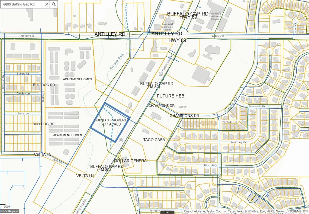 Prime Development Tract on Buffalo Gap Road just south of Antilley.  It includes Tract 7 & 8 on the attached Site Plan or they can be purchased separately as shown on the attached Pricing Schedule.  Self Storage Site Plan attached showing 219 Units at 10'x15' and 10'x20'.