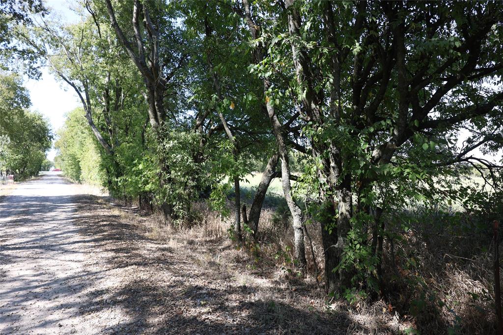 Three separate beautiful 5-acre tract located just outside of Bonham, TX! This heavily wooded property offers a peaceful, secluded setting perfect for weekend recreation, hunting, or building your dream home in the country. Mature trees cover the property, providing excellent privacy, natural shade, and habitat for deer, turkey, and other wildlife. Ideal for outdoor enthusiasts — bring your ATV, set up a campsite, or create hiking trails through your own private woods. Several potential building sites and electricity is available at the road. No known restrictions, so you have the freedom to build a custom home, barndo, cabin, or use it as a quiet retreat. Located just minutes from Bonham and a short drive to Bois d’Arc Lake, one of Texas’ newest recreational lakes. Easy access to Sherman, Paris, and the northern DFW area. Whether you're looking for a weekend escape or a place to put down roots, this property has the space and flexibility to fit your vision. Come walk it today and imagine the possibilities! Lot 1, Lot 2 and Lot 3 are all sold separately.  Lot 3 is has the possibility of a purchase of additional 4.99 acres.