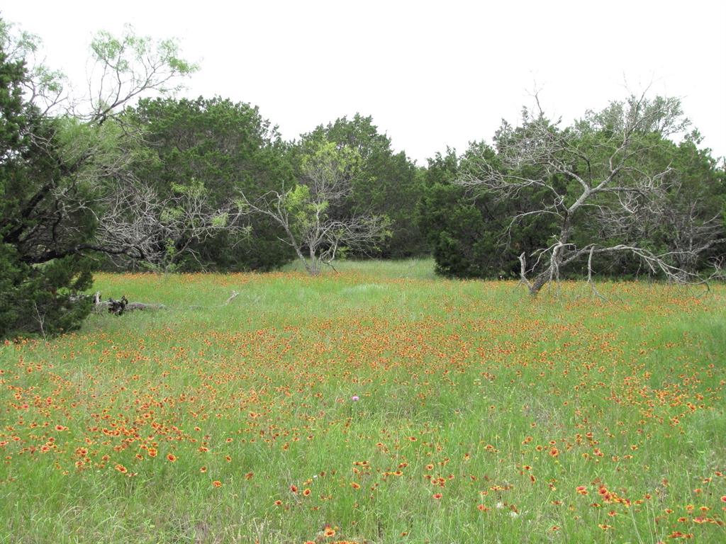 Highly Motivated Seller! Located in the scenic Hill Country, this 10.01-acre property, known as Lot 41 Ph 6, offers beautiful rolling terrain with a mix of oak, mesquite, and cedar trees, creating the perfect blend of privacy and natural beauty. Situated within the gated Rio Escondido Subdivision, you’ll enjoy the peace of country living with the convenience of private roads and easy access to town. Electricity is provided by Hamilton County Electric Cooperative, and high-speed fiber optic internet service is available through Central Texas Telecommunication out of Goldthwaite, TX — ideal for remote work or modern living. The property’s central location places you about 30 minutes from Gatesville, Hamilton, Goldthwaite, and Lampasas, and just a little over an hour from Waco, Temple, Killeen, and Brownwood. Whether you’re looking for a weekend retreat or the perfect spot to build your forever home, this Rio Escondido tract offers the best of quiet country living