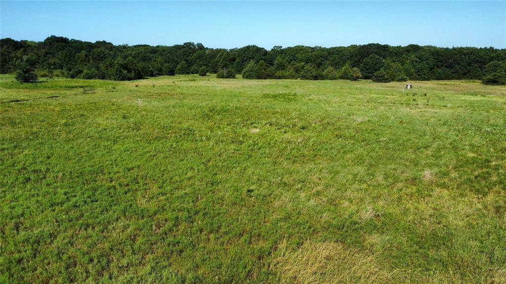 Thomas Woods Ward Surv Abs 118 - Land