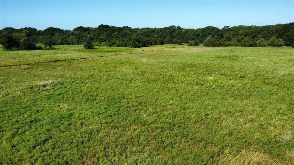 Thomas Woods Ward Surv Abs 118 - Land