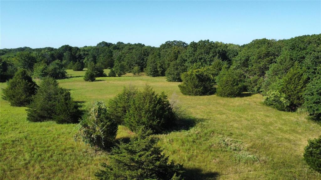Thomas Woods Ward Surv Abs 118 - Land