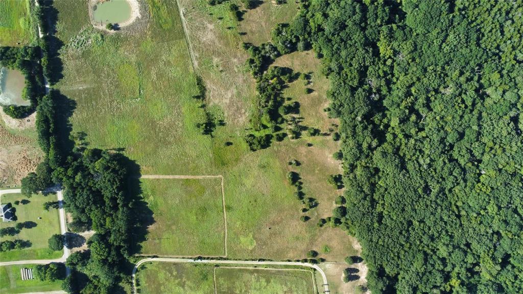 Thomas Woods Ward Surv Abs 118 - Land