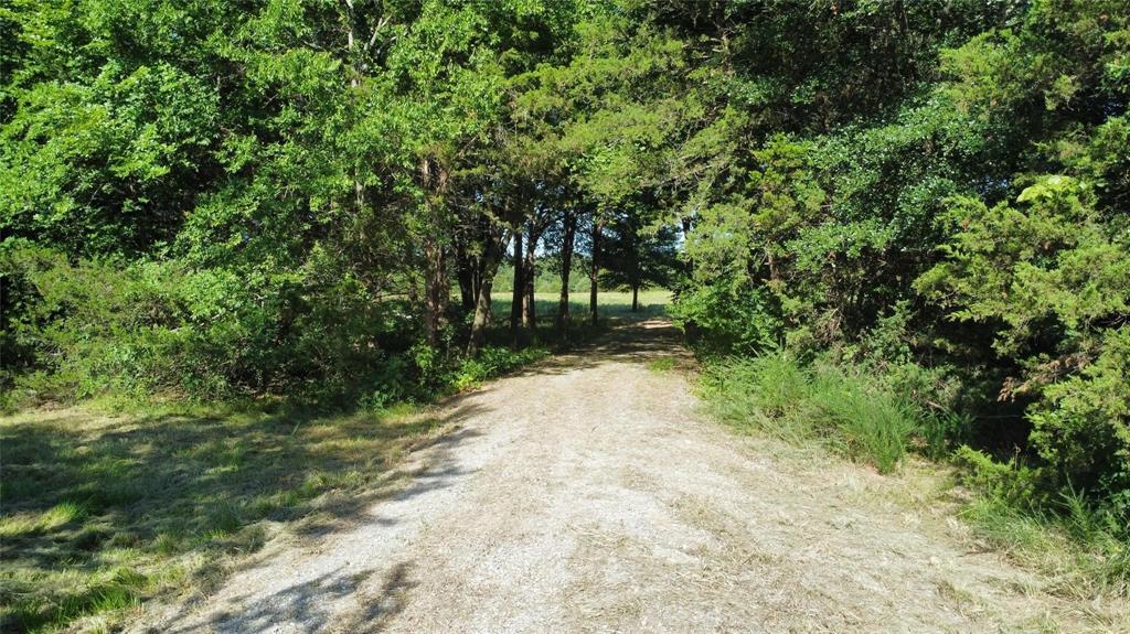 Discover the perfect blend of beauty, peace, and privacy on this gorgeous 9-acre property, ready and waiting for you to build your dream home!
Nestled in a serene setting, the property features a private entrance, electric already on-site with a T-pole, and a fully installed water well—saving you months of setup time and offering free, fresh water from day one.
Choose your ideal homesite: build near the front, tucked behind the trees for a welcoming entrance, or at the back of the property for ultimate seclusion. The rear boundary is lined with majestic mature trees, creating a natural buffer and ideal spot for a private 270-yard shooting range or peaceful retreat.
Properties like this don’t last long... Come see it before it’s gone!