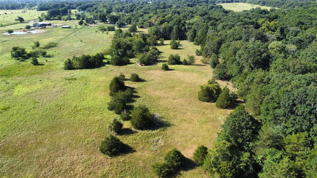 Thomas Woods Ward Surv Abs 118 - Land
