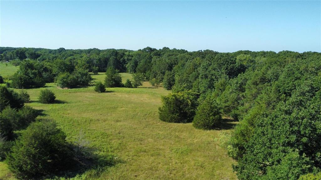 Thomas Woods Ward Surv Abs 118 - Land