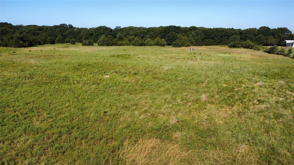 Thomas Woods Ward Surv Abs 118 - Land