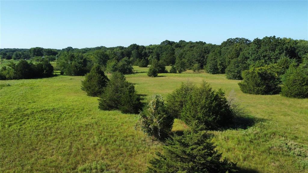 Thomas Woods Ward Surv Abs 118 - Land