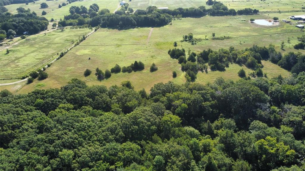 Thomas Woods Ward Surv Abs 118 - Land