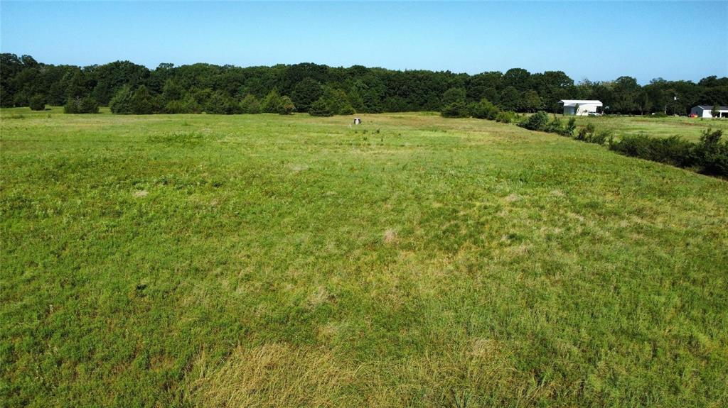 Thomas Woods Ward Surv Abs 118 - Land