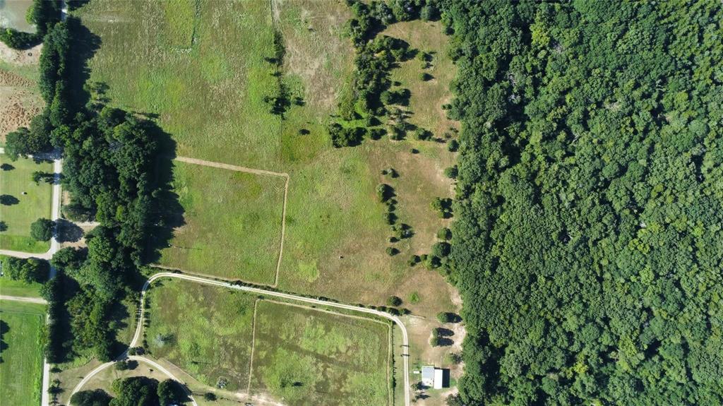 Thomas Woods Ward Surv Abs 118 - Land