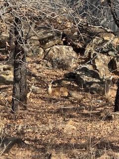 Nocona Hills - Land