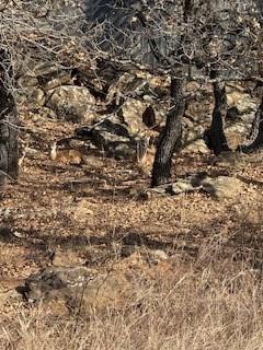 Nocona Hills - Land