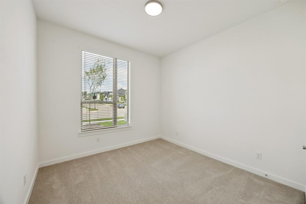 Painted Tree - Residential